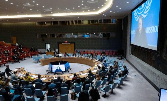 Security Council hears of fading election prospects in Libya